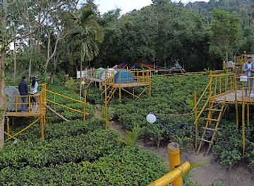 india/kaziranga-national-park/attraction/kramsa-rock-garden-nampi