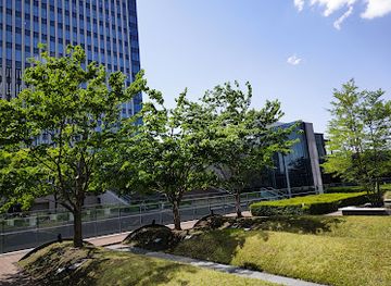 japan/nagoya/attraction/sasashima-live