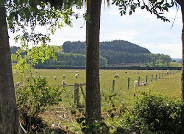 new-zealand/otago/attraction/sod-cottage