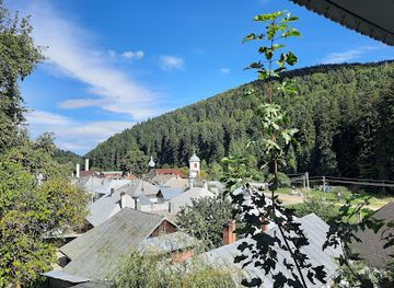 romania/neamt/attraction/casa-memoriala-alexandru-vlahuta-din-agapia