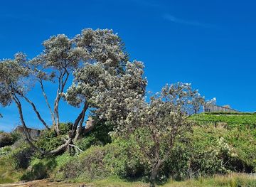 australia/jervis-bay/attraction/hyams-beach-lookout-no-beach-access