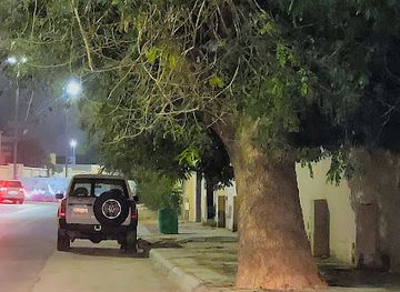 saudi-arabia/buraidah/attraction/akbar-shajarat-burayda