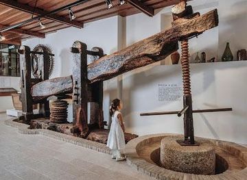 italy/verona/attraction/museo-dell-olio