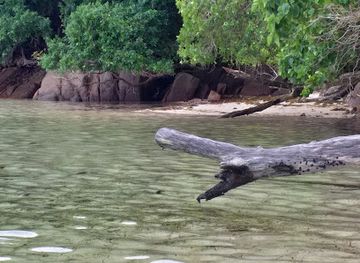 seychelles/baie-lazare/attraction/nilee-s-experience