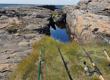 sweden/halland/attraction/biskopshagens-naturreservat