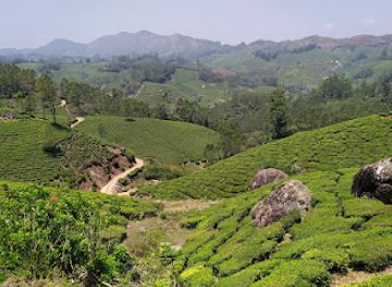 india/munnar/attraction/district-tourism-promotion-council-dtpc-tourist-information-centre-munnar