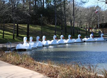 texas/the-woodlands/attraction/hippie-hollow