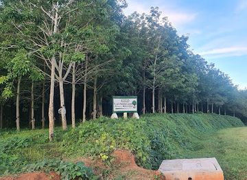 malawi/chinteche/attraction/vizara-rubber-plantation