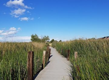 california/antioch/attraction/corteva-wetlands-preserve