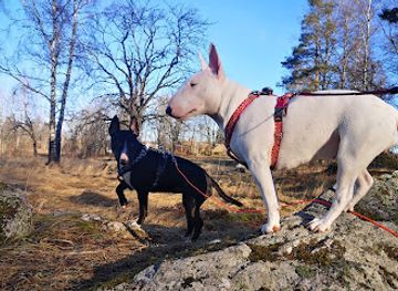 sweden/orebro/attraction/nature-reserve-hassle-byskogen