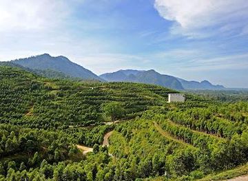 malaysia/ipoh/attraction/hoga-gaharu-tea-valley-gopeng