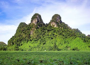 vietnam/phong-nha-ke-bang-national-park/attraction/nui-doi-semiwild-enclosure