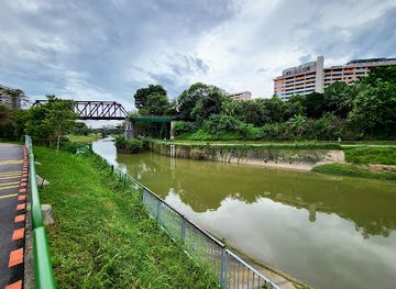 singapore/bukit-timah-nature-reserve/attraction/old-jurong-railway-line-bridge