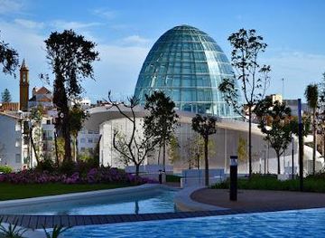 gibraltar/st-michael-s-cave/attraction/estepona-orchid-house