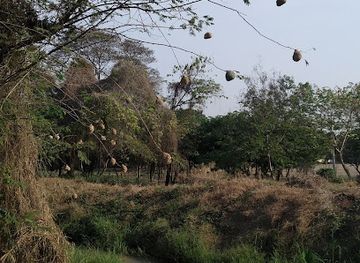 tanzania/ruaha-national-park/attraction/ruaha