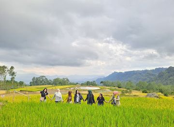 indonesia/southeast-sulawesi/attraction/wisata-sawah-kalimbuang