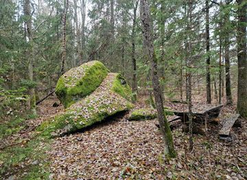 estonia/rapla/attraction/manniku-suurkivi