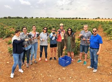 spain/madrid/attraction/colorful-wines-wine-tours-madrid