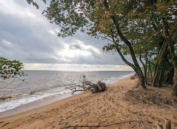 cameroon/centre-region/attraction/yo-yo-plage-mouanko