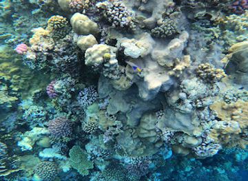 egypt/red-sea-coast/attraction/the-boat-wreckage