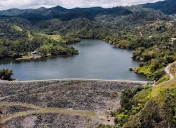 puerto-rico/puerto-rican-cordillera/attraction/bosque-estatal-de-guilarte