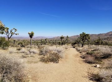 california/joshua-tree/attraction/panorama-loop-trail