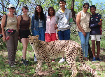 south-africa/waterberg/attraction/big-cat-experiences