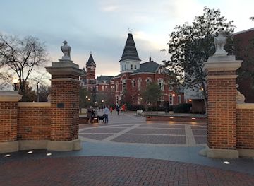 alabama/piedmont-plateau/attraction/toomer-s-oaks