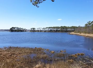 delaware/delaware-beaches/attraction/assawoman-wildlife-area