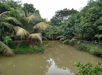 vietnam/mekong-delta/attraction/bang-lang-stork-sanctuary