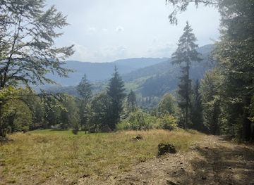 ukraine/dragobrat/attraction/stil-i-lavky