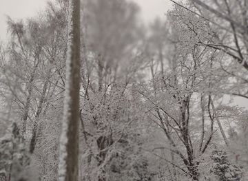 finland/varsinais-suomi-southwest-finland/attraction/varsinais-suomen-kotirintamanaisten-muistokivi