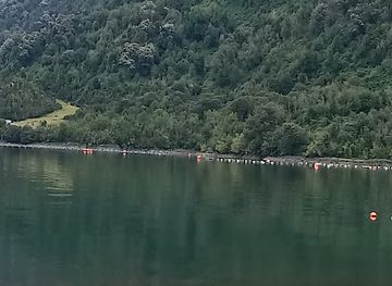 chile/los-rios-region/attraction/parque-krahmer