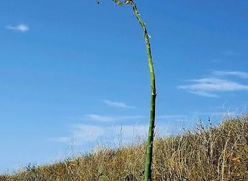 california/oxnard/attraction/chumash-trail