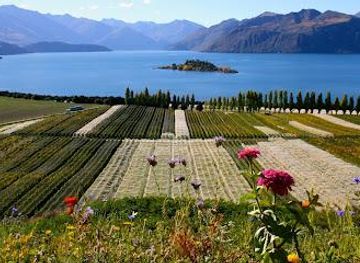 new-zealand/wanaka/attraction/rippon