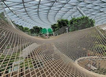 singapore/singapore/attraction/canopy-park-jewel-changi