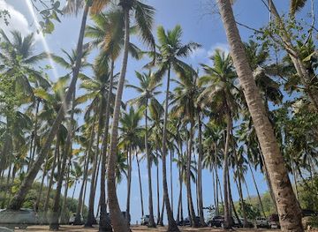 dominican-republic/cibao-valley/attraction/playa-el-viejo-oscar