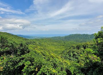 grenada/seven-sisters-falls/attraction/morn-labey