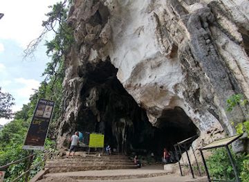 malaysia/northern-region/attraction/dark-cave-conservation-site