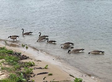 michigan/southeast-michigan/attraction/welcome-to-michigan-sign