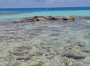 belize/southern-belize-barrier-reef/attraction/gladden-spit-and-silk-cayes-marine-reserve