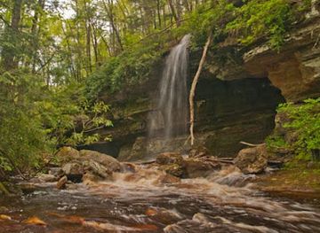 west-virginia/blackwater-falls-state-park/attraction/red-run-falls