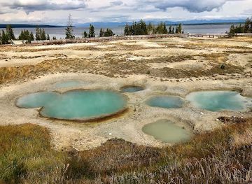 montana/yellowstone-national-park/attraction/painted-pool