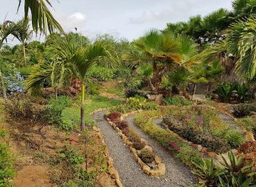 cabo-verde/sal-rei/attraction/pachamama-eco-park-viveiro-botanical-garden