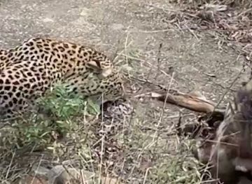 tanzania/moshi/attraction/homewardadventure-com