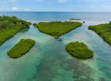 panama/colon/attraction/venas-azules