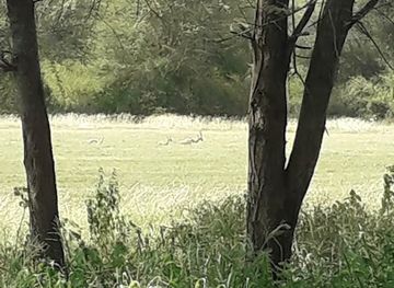 tanzania/kilimanjaro-region/attraction/africa-amazing-treks-and-safaris