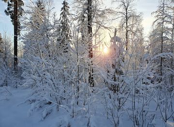 finland/espoo/attraction/espoo-central-park