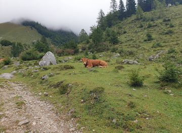 austria/kaisergebirge/attraction/wegscheid-niederalm