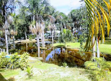 peru/tambopata-national-reserve/attraction/amaru-natural-park